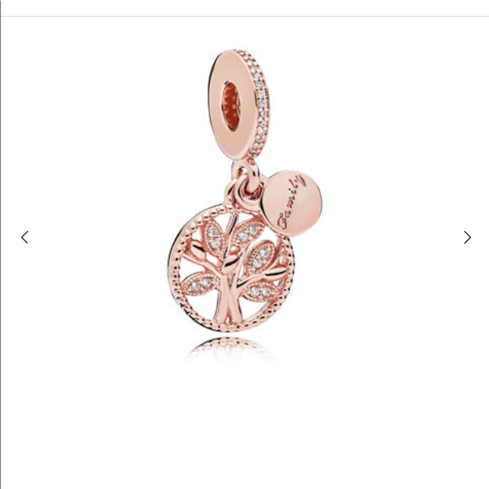 ✨NEW PANDORA ROSE FAMILY CHARM